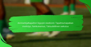 Ammattijalkapallon liigojen stadionit: Tapahtumapaikan merkitys, Fanikokemus, Taloudellinen vaikutus