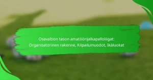Osavaltion tason amatöörijalkapalloliigat: Organisatorinen rakenne, Kilpailumuodot, Ikäluokat